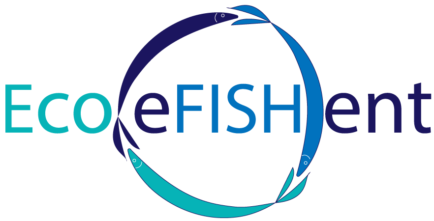 ecoefishent logo