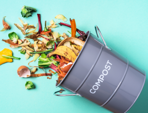 Compostability for food packaging | a win-win solution