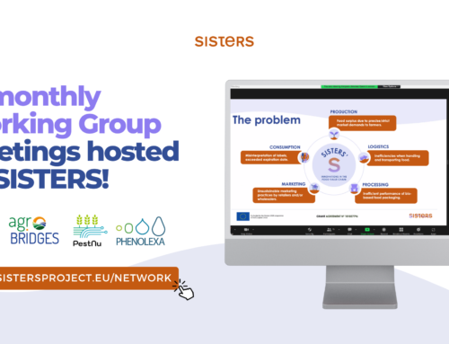 SISTERS Trimonthly Working Group: projects updates!